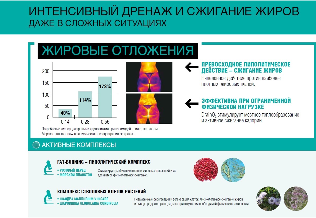 DRAIN O₂ Профессиональный слимминг-скраб для тела со стволовыми клетками  шандры HISTOMER, 500 мл - купить по выгодной цене - СТИКС.РФ